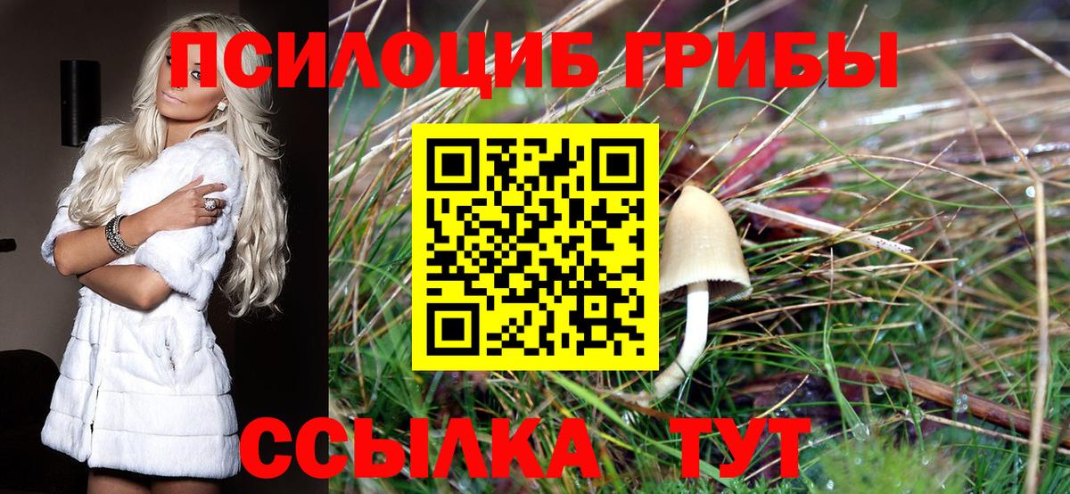 Галлюциногенные грибы ЛСД  Вход с VPN  Первоуральск  Псилоцибиновые грибы прущие грибы 