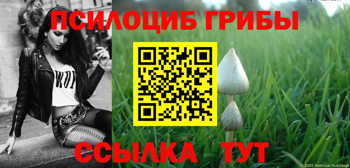 Псилоцибиновые грибы мицелий Первоуральск